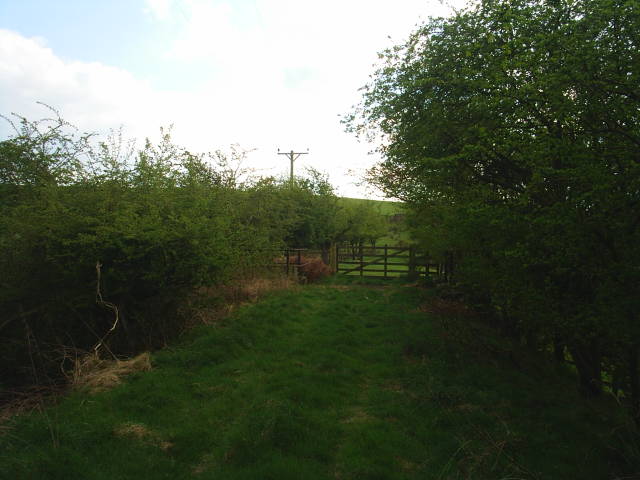 Allendale Railway