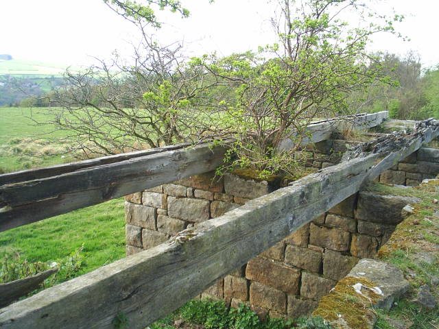 Allendale Railway