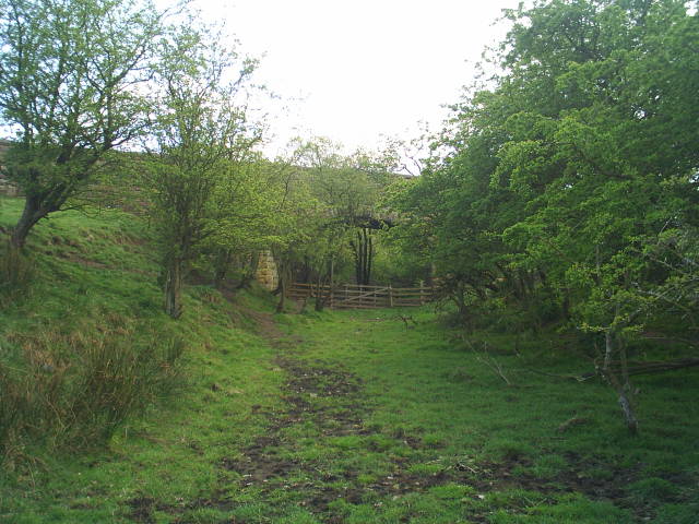 Allendale Railway