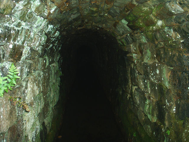 Inside the Level